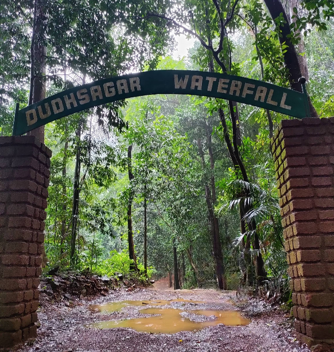 How to Reach Dudhsagar Waterfalls: A Complete Guide in 2025