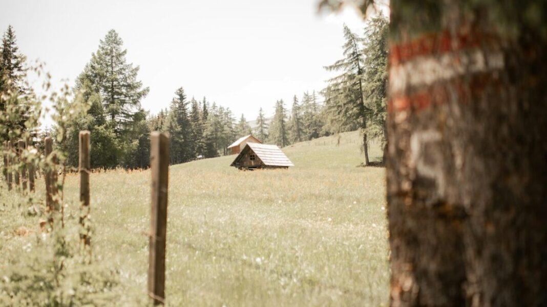 featured-image-13937-1753902180 budget camping spots in Yellowstone National Park