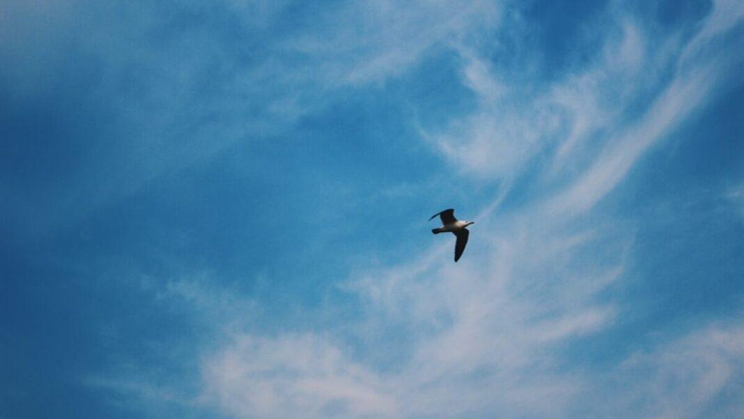 Soaring to New Heights: The Evolution of Extreme Sports in 2025