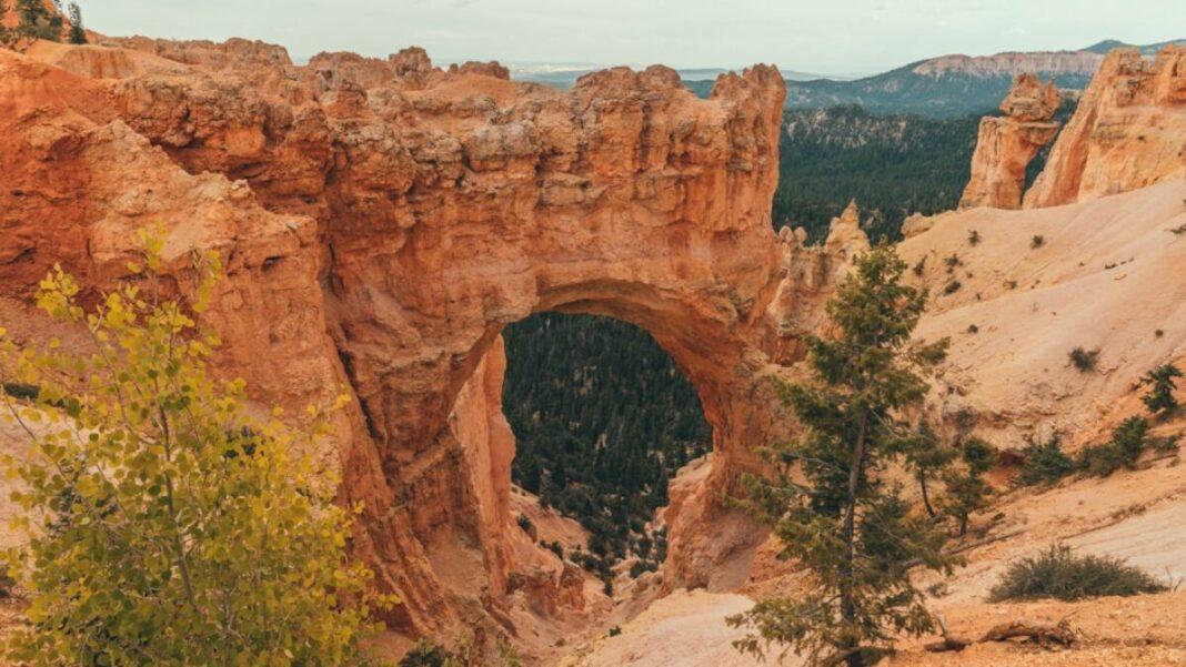 Budget Traveler’s Ultimate Guide to Exploring U.S. National Parks on $50 a Day