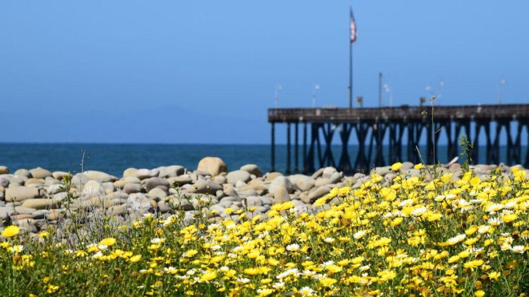 10 Best Sustainable Travel Destinations in California for Eco-Conscious Adventures